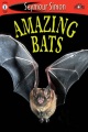 Amazing bats Amazing bats