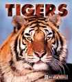 Tigers Tigers