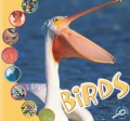 Birds Birds