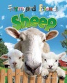 Sheep Sheep