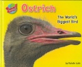 Ostrich : the world's biggest bird Ostrich : the world's biggest bird