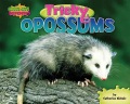 Tricky opossums Tricky opossums