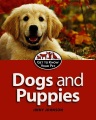 Dogs and puppies Dogs and puppies