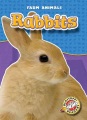 Rabbits Rabbits