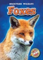 Foxes Foxes