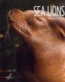 Sea lions Sea lions