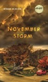 November storm