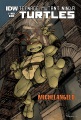 Michelangelo Michelangelo