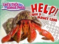 Help! I have a hermit crab