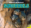 Squirrels Squirrels