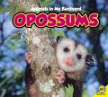 Opossums Opossums