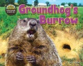 Groundhog's burrow Groundhog's burrow