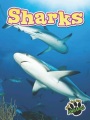 Sharks Sharks