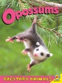 Opossums Opossums