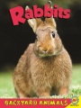 Rabbits Rabbits