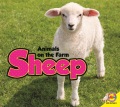 Sheep Sheep