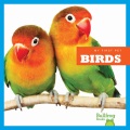 Birds Birds