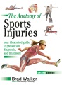 The anatomy of sports injuries : your illustrated guide to prevention, diagnosis, and treatment