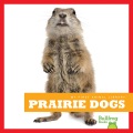 Prairie dogs Prairie dogs