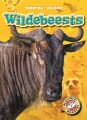 Wildebeests Wildebeests