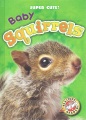 Baby squirrels Baby squirrels