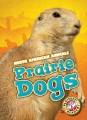 Prairie dogs Prairie dogs