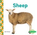 Sheep Sheep
