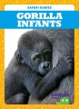 Gorilla infants Gorilla infants