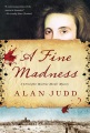 A fine madness : a Christopher Marlowe murder mystery