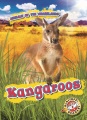 Kangaroos Kangaroos