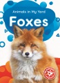Foxes Foxes