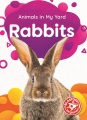 Rabbits Rabbits