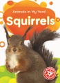 Squirrels Squirrels