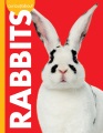 Rabbits Rabbits