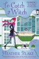 To Catch a Witch : a Wishcraft Mystery