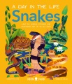 Snakes : what do cobras, pythons, and anacondas get up to all day?
