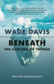 Beneath the surface of things : new and selected essays