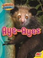 Aye-ayes