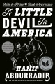 A little devil in America : notes in praise of Bla...