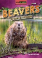 Beavers in their ecosystems
