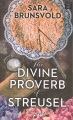 The divine proverb of streusel : a novel