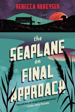 The seaplane on final approach : a novel