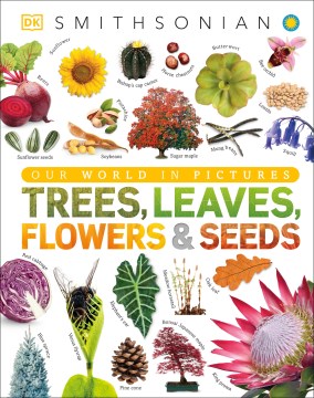 Trees, leaves, flowers, and seeds : a visual encyclopedia of the plant kingdom
