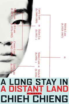 A long stay in a distant land : a novel