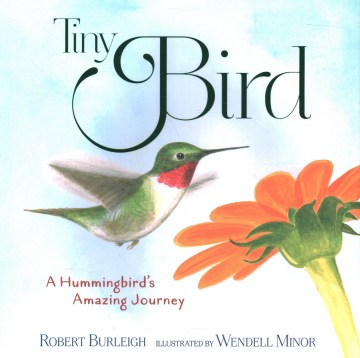Tiny Bird : a hummingbird's amazing journey