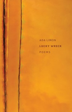 Lucky wreck : poems