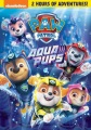 PAW patrol. Aqua pups