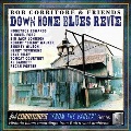 Down home blues revue [CD music]