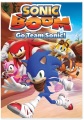 Sonic boom. Go team Sonic!