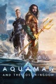 Aquaman and the lost kingdom (dvd)